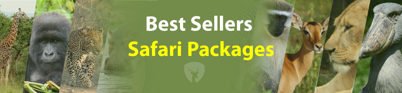 Best sellers safari packages, best sellers safaris, best sellers tour packages, best sellers packages