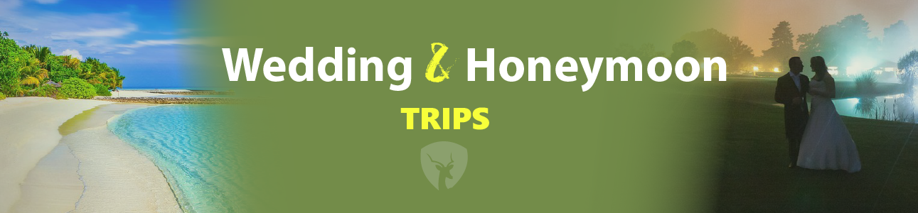 Wedding and Honeymoon trips, Wedding trips, safari weddings, Wedding safaris holidays, Honeymoon Holidays, Honeymoon Safaris